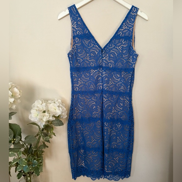 Bebe Betsey Stretchy Blue Lace Overlay Bodycon Mini Dress - Picture 2 of 10